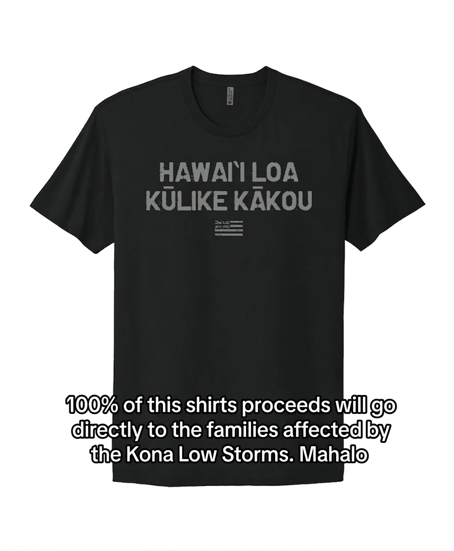 Hawaii Stands Together T-Shirt in Black - Image 3